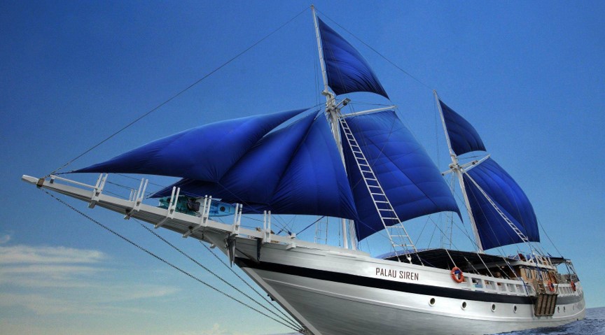 扬帆出海！云顶集团3118之家数字化新征程