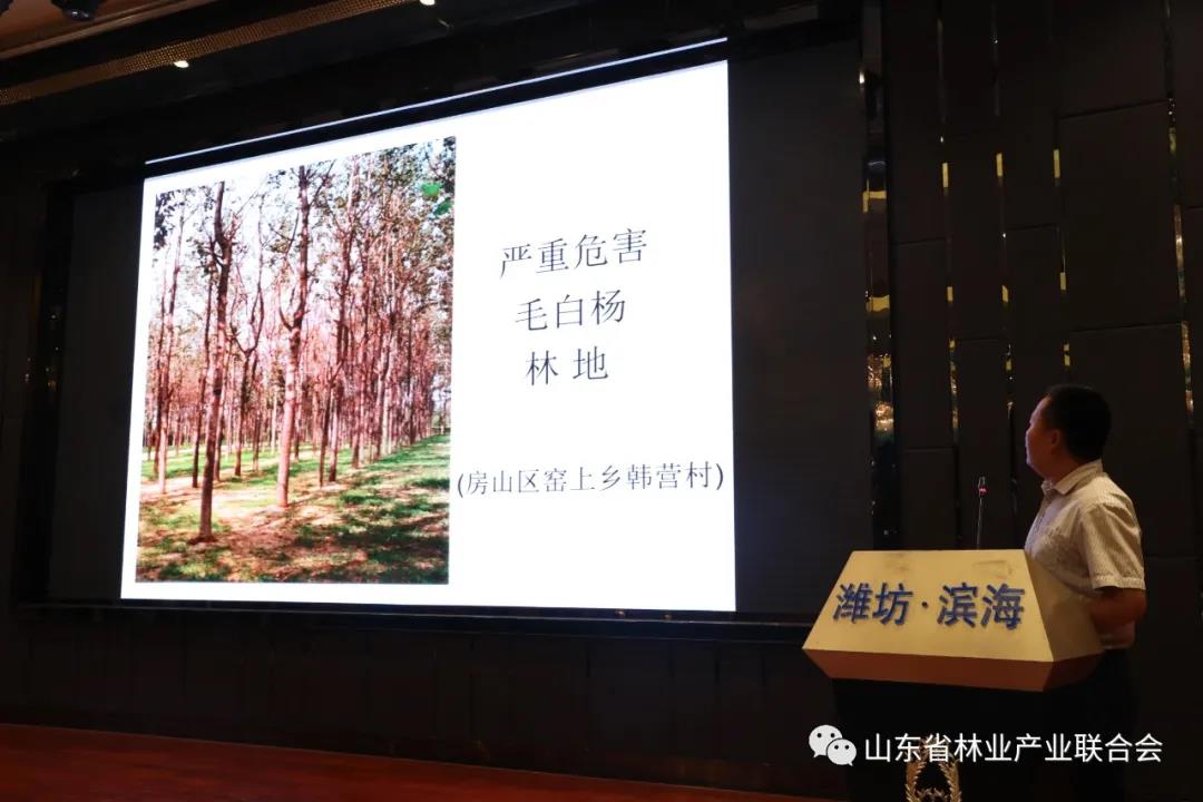 新葡萄8883官网AMG(中国)股份有限公司