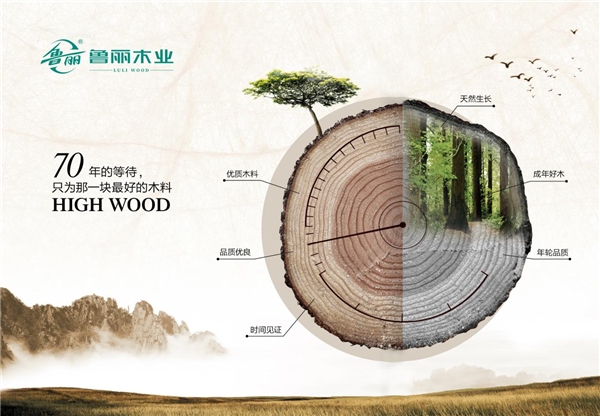 新葡萄8883官网AMG(中国)股份有限公司