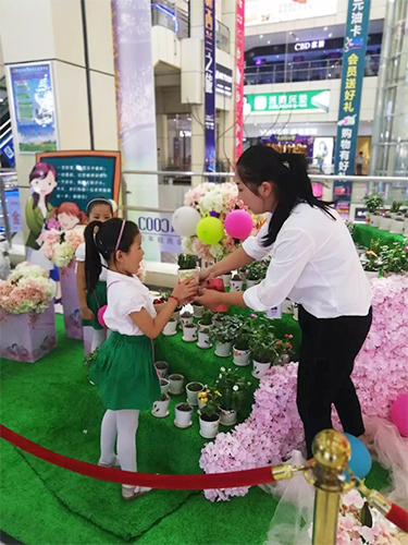 20180911135516_2bbdfmn3am