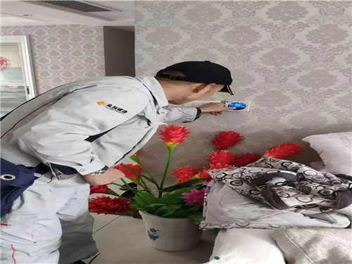 20181213111210_wrhc7pjpc5