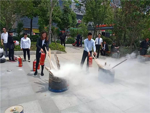 20190520145848_d0po8k4nlw