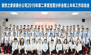 伏首跋涉 蓄力向前 &mdash;安徽分公司2019年第二季度谋划剖析会暨上半年岁情总结会圆满乐成！！ 